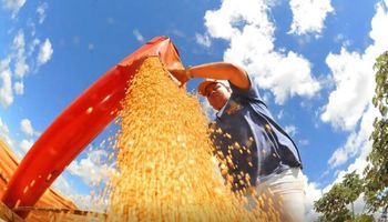 Agrishow 2025: crédito do BNDES para Plano Safra se aproxima de R$ 30 bilhões