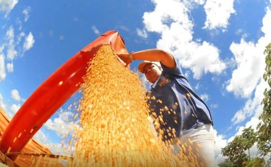 Recursos são para cooperativas e grandes e pequenos agricultores
