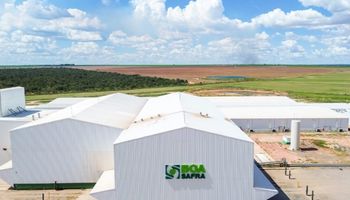 Boa Safra registra recorde de faturamento no terceiro trimestre de 2025