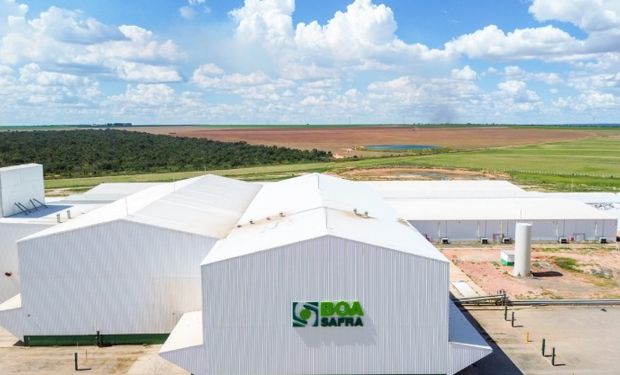 Boa Safra registra recorde de faturamento no terceiro trimestre de 2025