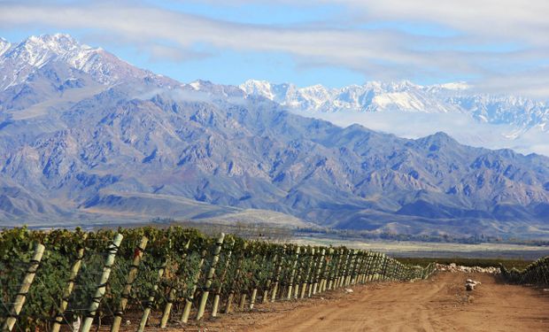 Alberto Fernández distinguió a ocho bodegas: conocé cuáles son y su ranking internacional