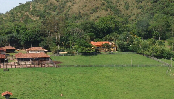 Goianesia fazenda