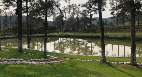 Fazenda do pelé