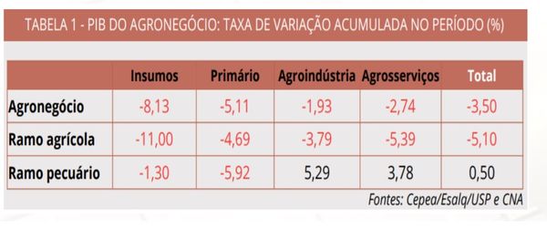 PIB AGRO 2024