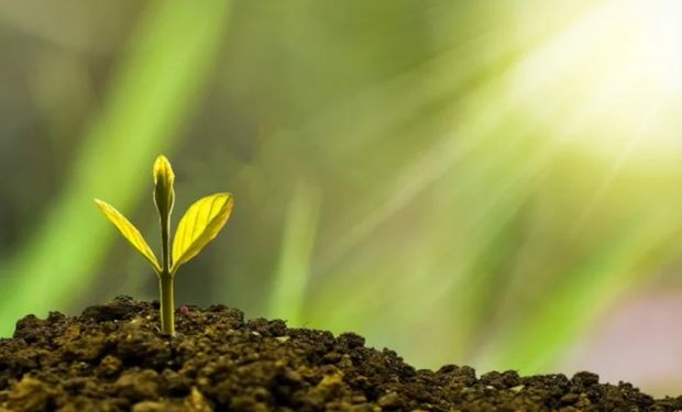 Espaço do Mapa integra BioSummit para estimular a produção e uso de bioinsumos no Brasil