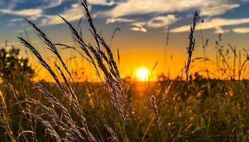 Calor intenso e chuvas intensificam a segunda-feira pelo Brasil; RS pode ultrapassar 40°C