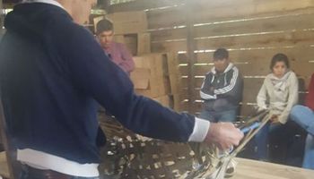 Nuevos diseños para la venta directa de hortalizas