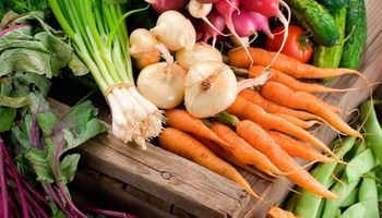 Recomendaciones para conservar la inocuidad de las verduras en tiempos de coronavirus