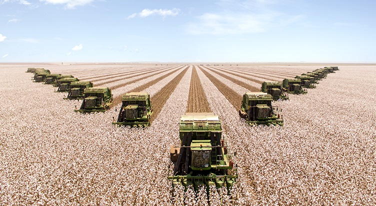 Bom Futuro Chega A 40 Anos Como Top 3 Da Agricultura No Brasil | Agrofy ...