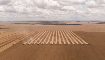 Produção de soja na América do Sul cai 9% na safra 2021/22