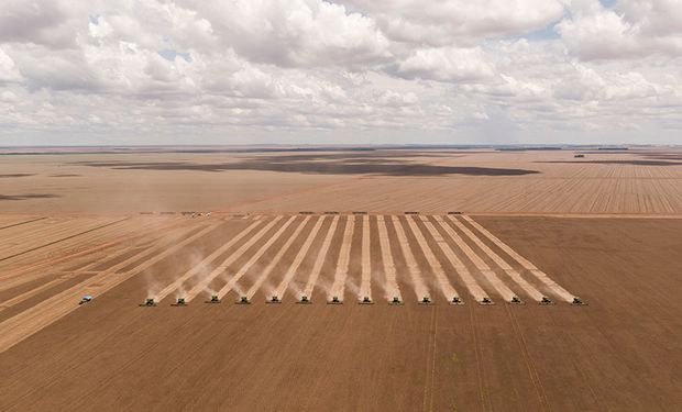 América do Sul responde por mais de 40% da produção mundial da oleaginosa. (foto - Bom Futuro)