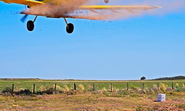 Lanzan 15 mil bombas de semillas para reforestar áreas en emergencia ambiental