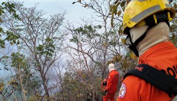 Corpo de Bombeiros aplica multa de R$ 80 milhões por incêndio criminoso em Mato Grosso