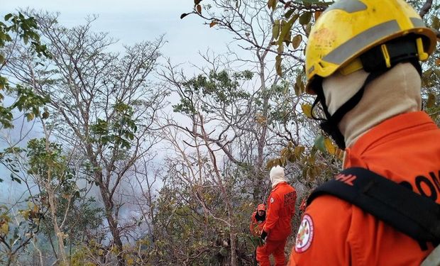 Corpo de Bombeiros aplica multa de R$ 80 milhões por incêndio criminoso em Mato Grosso