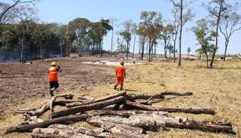 Homem é preso em Mato Grosso após ser flagrado ateando fogo em área rural
