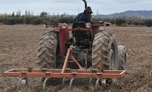 Bono de $50.000 a trabajadores rurales: qué recomendó UATRE