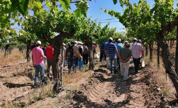 Ratifican el bono de $50.000 para trabajadores rurales y rechazan la impugnación de la Mesa de Enlace