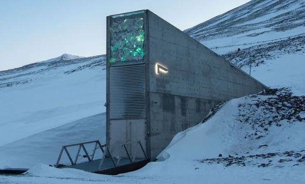 Por primera vez, Uruguay aporta semillas a la Bóveda Global de Svalbard: ya hay más de un millón de muestras 