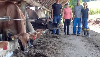 Produtor catarinense comemora alta de 372% na produção de leite