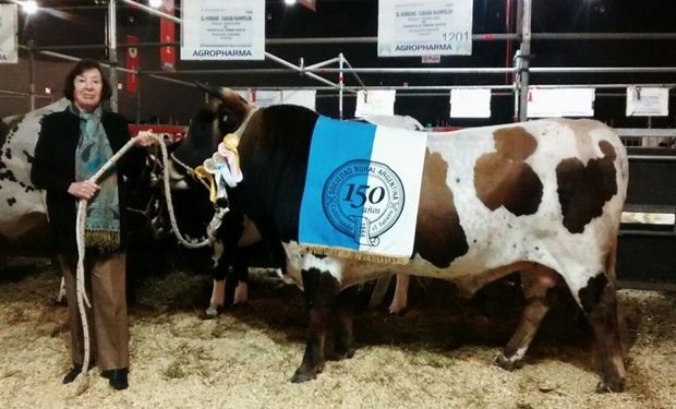 Alicia Rabasa, con un criollo en la última Exposición Rural de Palermo. Foto: La Nación