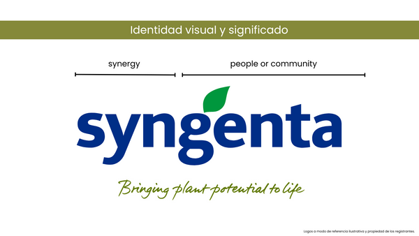 brand syngenta