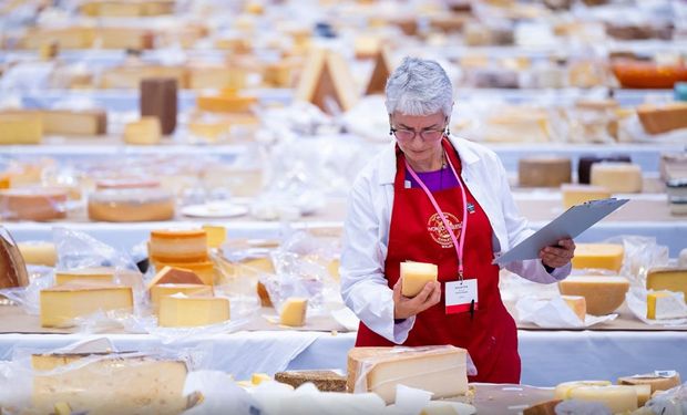 Brasil brilha na Suíça e leva 31 medalhas no Mundial de Queijos