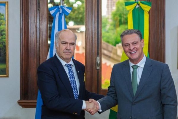 brasil-argentina-acordo-regionalizacao-gripe-aviaria-newcastle