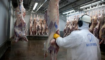 Tensión política: China bloqueó cargamentos de carne brasilera por los casos de vaca loca
