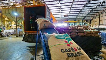 Exportações de café do Brasil caem em 2025, mas receita é recorde