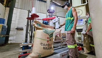 Exportações de café do Brasil caem em 2025, mas receita é recorde