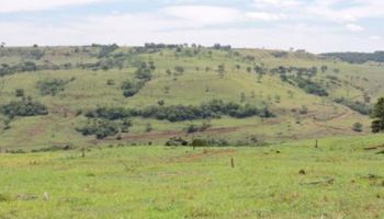 Áreas degradadas: Brasil e FAO lançam programa global na COP30