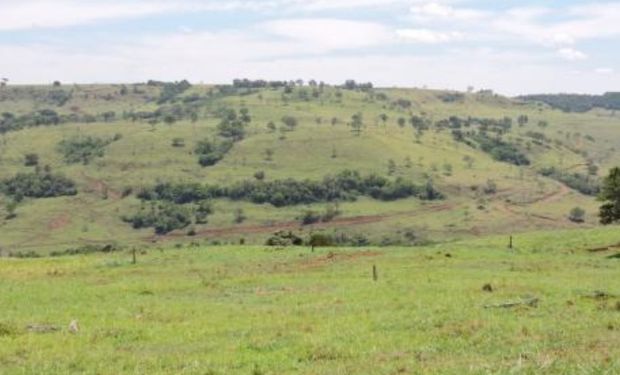 Áreas degradadas: Brasil e FAO lançam programa global na COP30