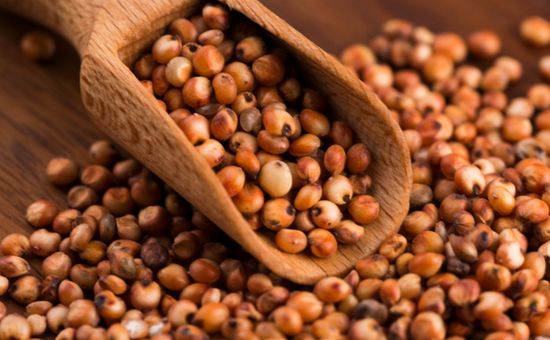 Cinco plantas de etanol de milho e dez unidades de sorgo recebem aval chinês