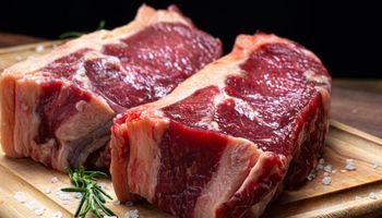 Brasil bate recorde histórico de exportações de carne bovina em outubro