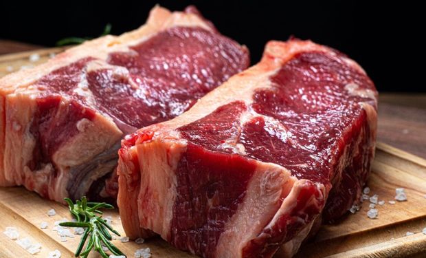 Brasil bate recorde histórico de exportações de carne bovina em outubro