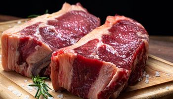 Brasil supera EUA e se torna o maior produtor de carne bovina do mundo