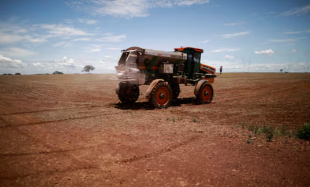 Alerta agro: una decisión que vuelve casi "inviable" a la agricultura en la región