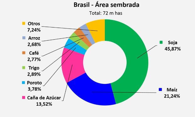 Los vaivenes de la política no afectaron el rumbo de su crecimiento.