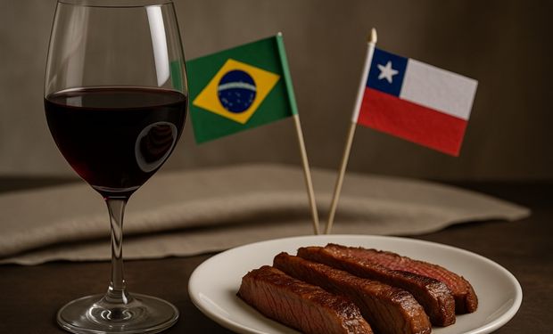 Brasil e Chile se enfrentam no Maracanã e também disputam espaço no agronegócio global