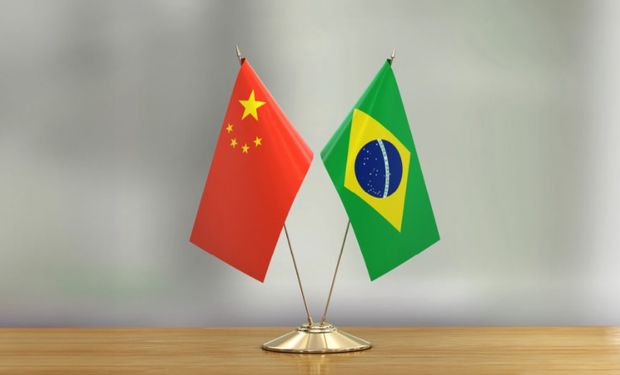 Acordo agropecuário com China pode levar Brasil ao topo das exportações mundiais