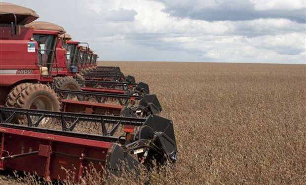 Las recientes lluvias y las bajas de Chicago impactan sobre el mercado de Rosario: cuánto se pagó por soja, trigo y maíz