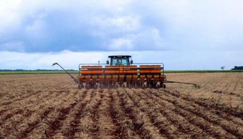 Soja: Brasil expandiría levemente el área de siembra