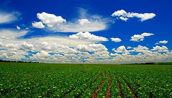 Sin lluvias para el fin de semana en el centro agrícola