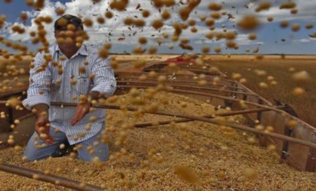 Brasil: la Conab ayer aumentó la estimación de producción.