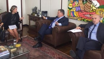 Trigo: negocian con Brasil por el posible cupo extra Mercosur