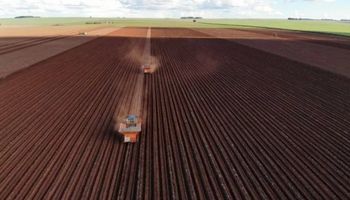 Lucro da BrasilAgro cai 74% no 4º trimestre, para R$ 61,3 milhões