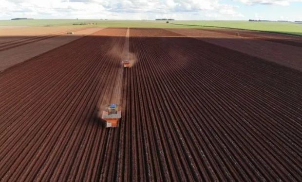 Lucro da BrasilAgro cai 74% no 4º trimestre, para R$ 61,3 milhões