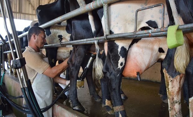 ¿Cómo son los sistemas de pago de la leche al productor que existen en el mundo? Un completo informe del Movimiento CREA.