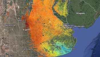 En el campo argentino, ¿dónde está el potencial para capturar carbono orgánico? Los mapas digitales que presentó Syngenta junto a Aapresid