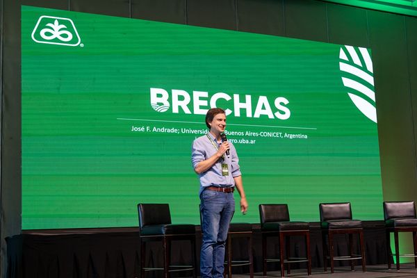 brechas 2025
